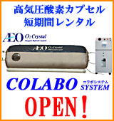 ���C���_�f�J�v�Z���̃����^���T�C�g��