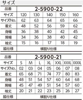 4.1IX hC AX`bNsVc̃TCY