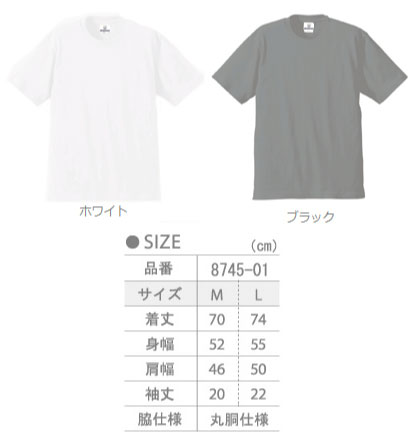 SALE 8745-01　6.2オンス Tシャツ